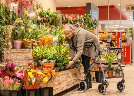 Rollator Gigo 2G